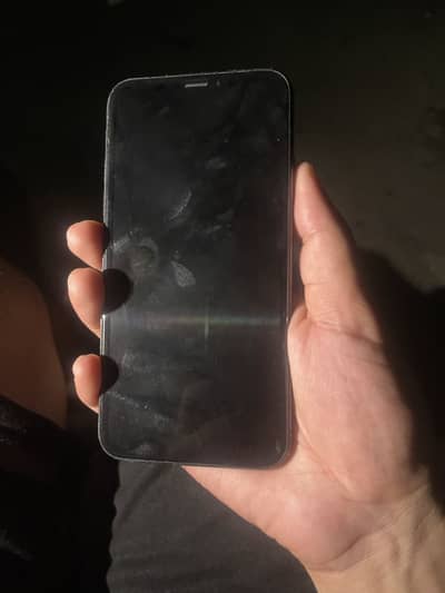 Apple iPhone X