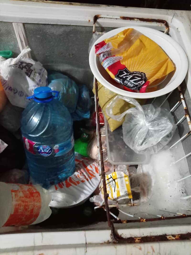 Waves Freezer 1