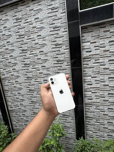 Apple iPhone 12