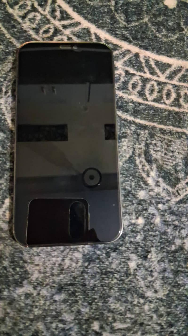 Apple iPhone 12 Pro 3