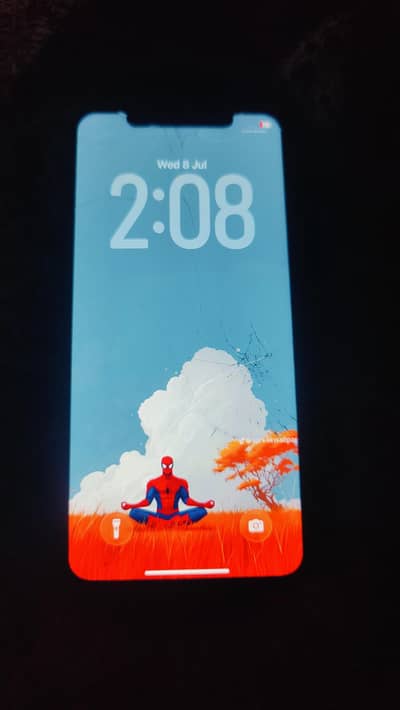 Apple iPhone 11 Pro Max LLA model 256 gb