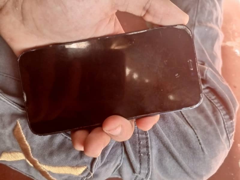 iPhone 12 mini 0