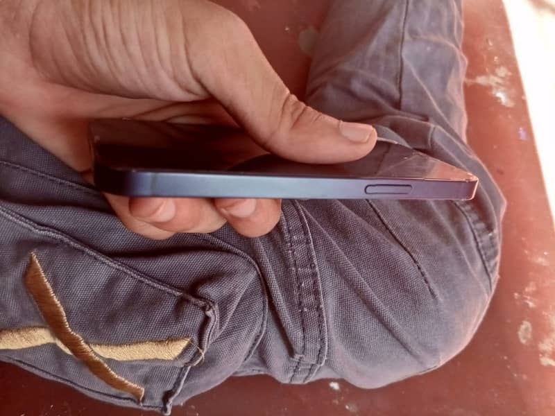 iPhone 12 mini 3