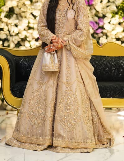 Walima Maxi