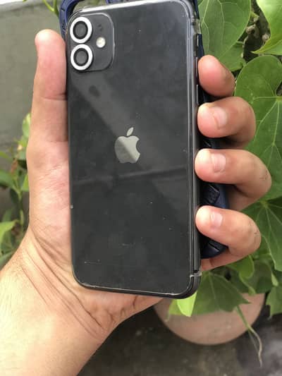 Apple iPhone 11. All jenune exchange sale