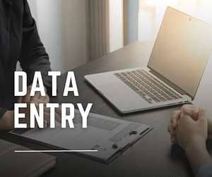 Data Entry Assistant (Remote)