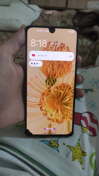 Google Pixel 6 Pro . Pta Approve . Panel Damage