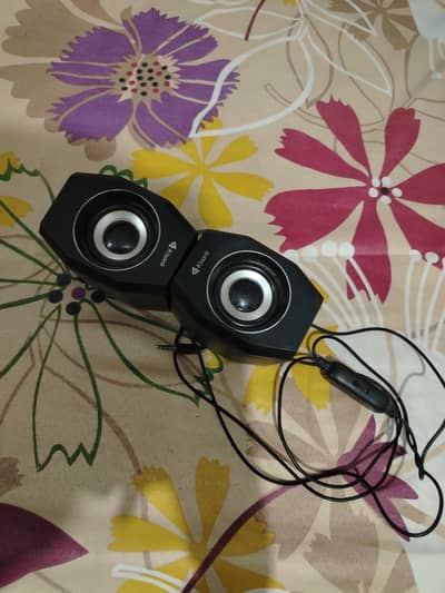 10 out of 10 condition speaker