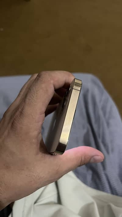 Apple iPhone 12 Pro