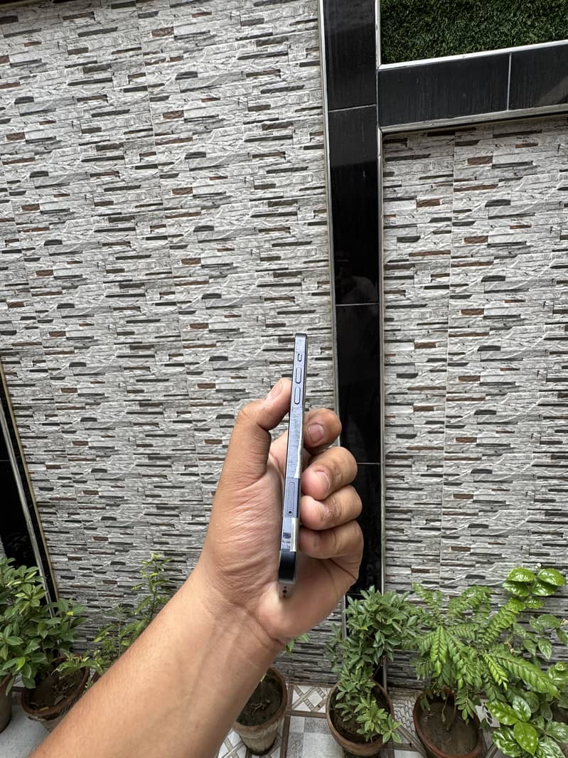 Apple iPhone 12 1