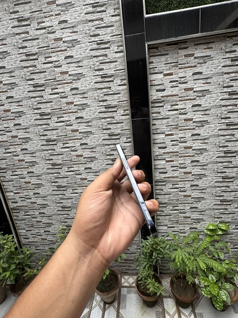 Apple iPhone 12 2