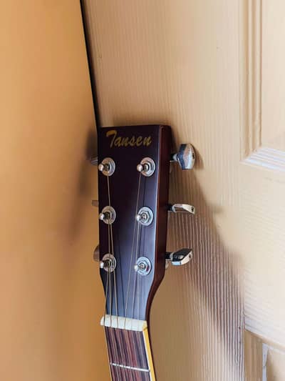 Tensen acoustic guitar