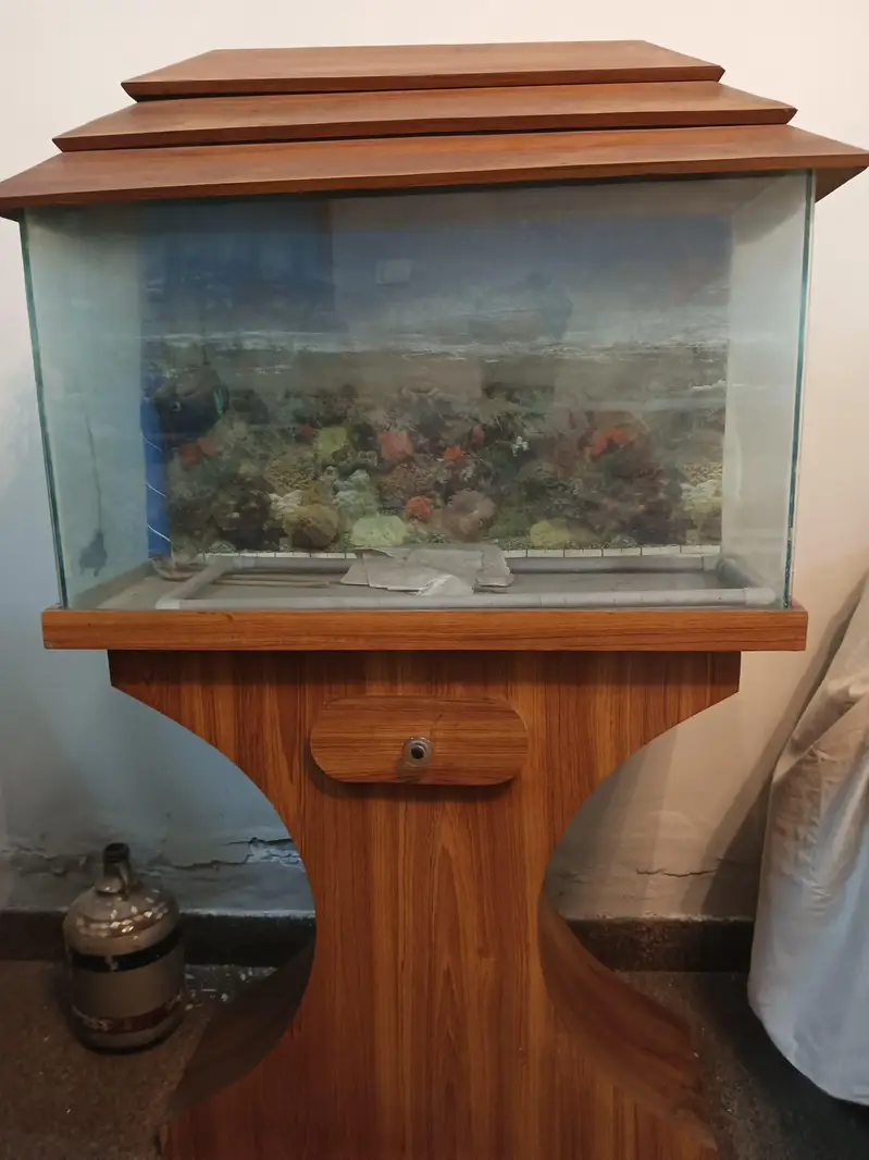 Fish aquarium tank in amazing condition
