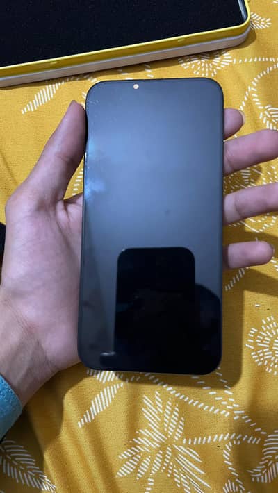 i phone 13 pro max panel