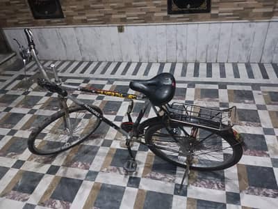 phoenix bicycle