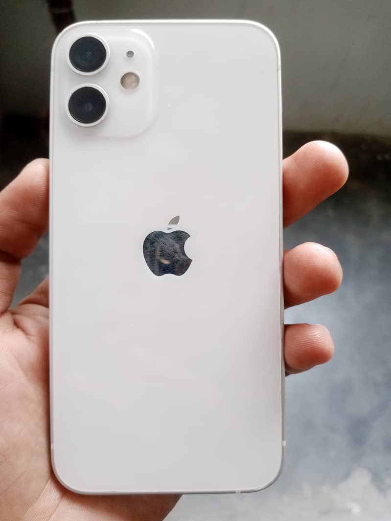 Apple iPhone 12 mini 0
