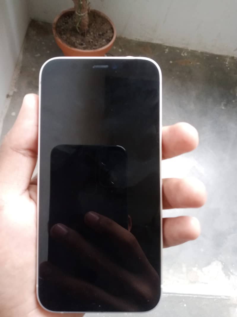 Apple iPhone 12 mini 1