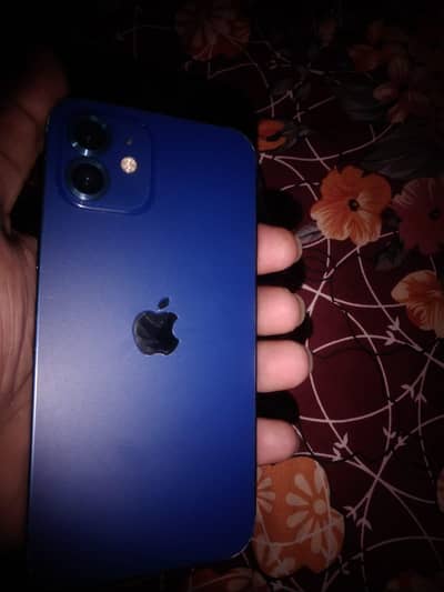 Apple iPhone 12 condition 10 by 9