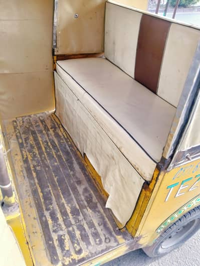Taz rafter Tanga body