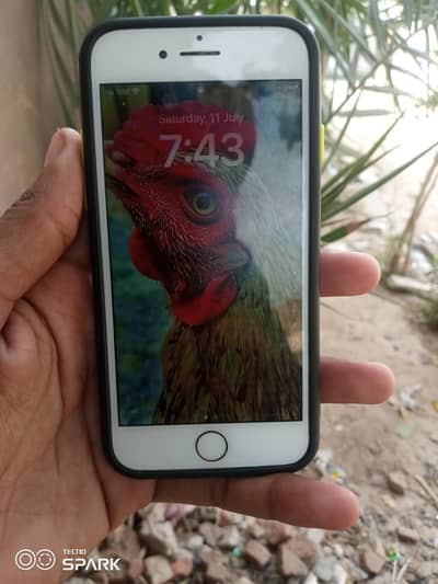 Apple iPhone 8 Non pta Jv 64gb  All ok