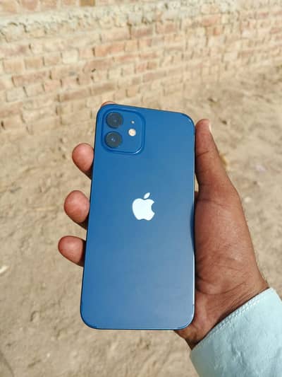 iPhone 12