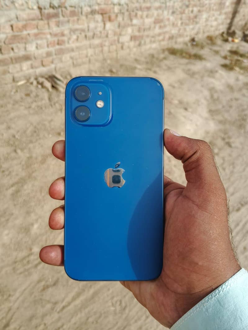 iPhone 12 6