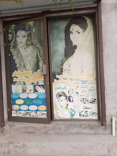 Mirror  Door