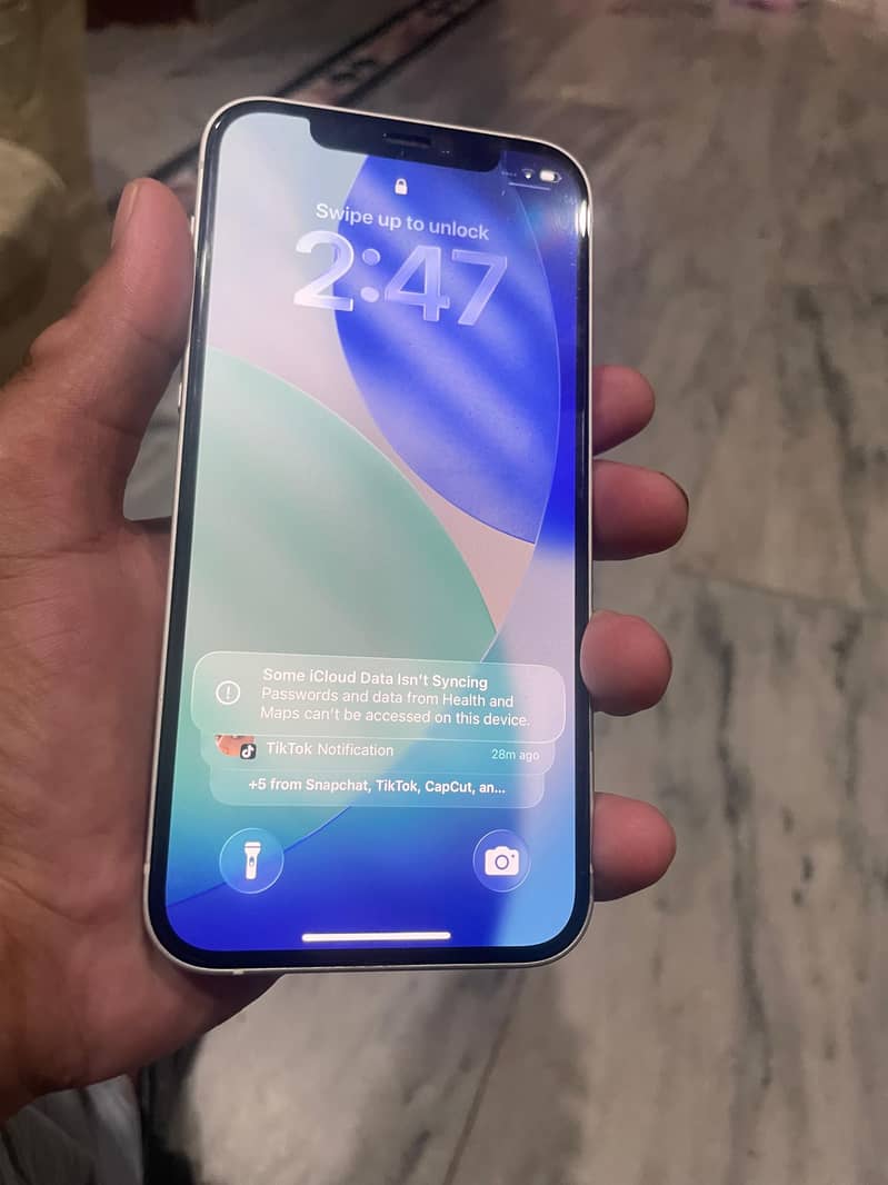 Apple iPhone 12 1