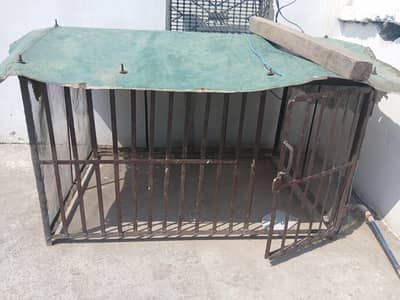 murghio wala mazboot pinjra