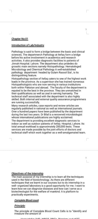 PDF to Word | Assignment Typing | Data Entry - 24H Delivery