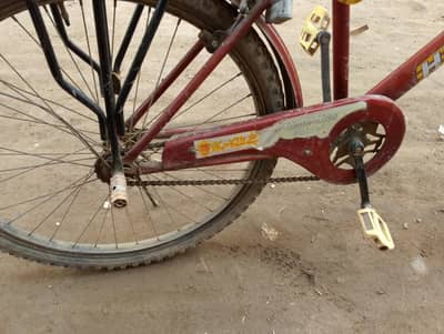 cycle urgent for sale all ok hy