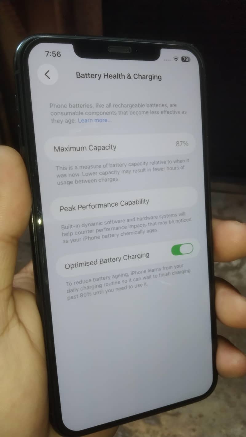 11 pro max 2