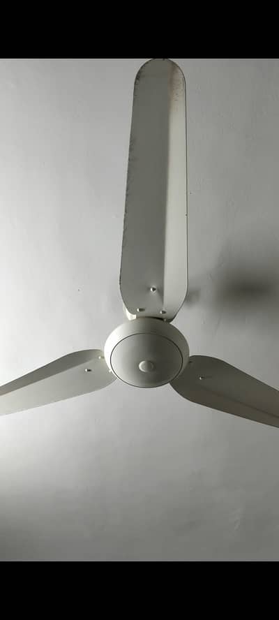 220 v Ceiling fan. Brand Straco.
