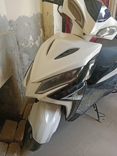 Scooter (Scooty) 03024142224