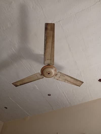 cailing fans for sale