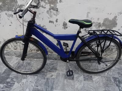 bicycle 11000