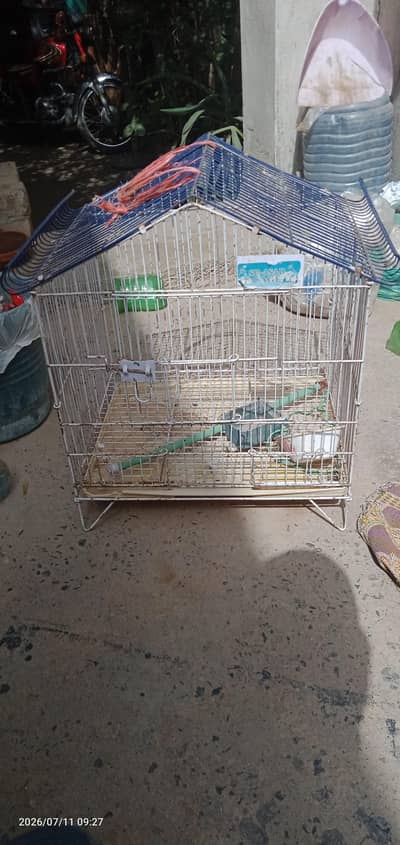 Australian Parrot pinjra