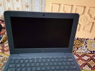 hp cromebook