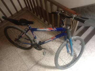 phoenix cycle  popular for speed