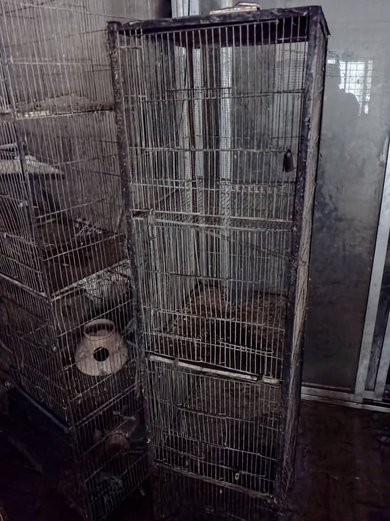 cages 0