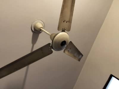 seeling fan