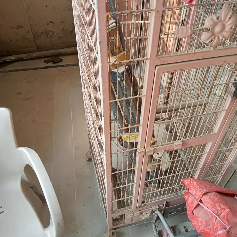 cage for grey , macaws , cockatoo