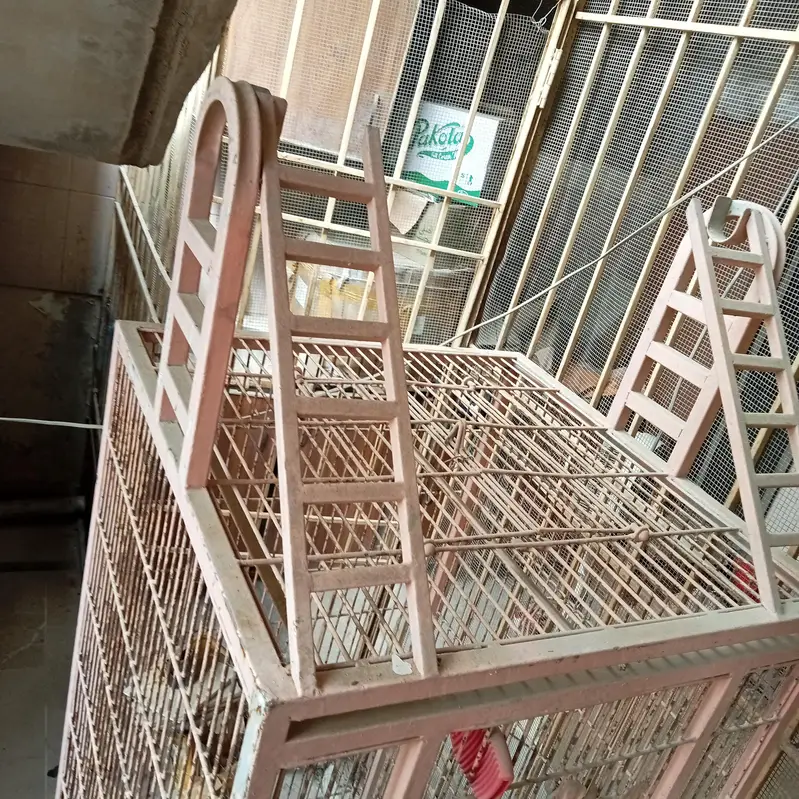 cage for grey , macaws , cockatoo — photo 2