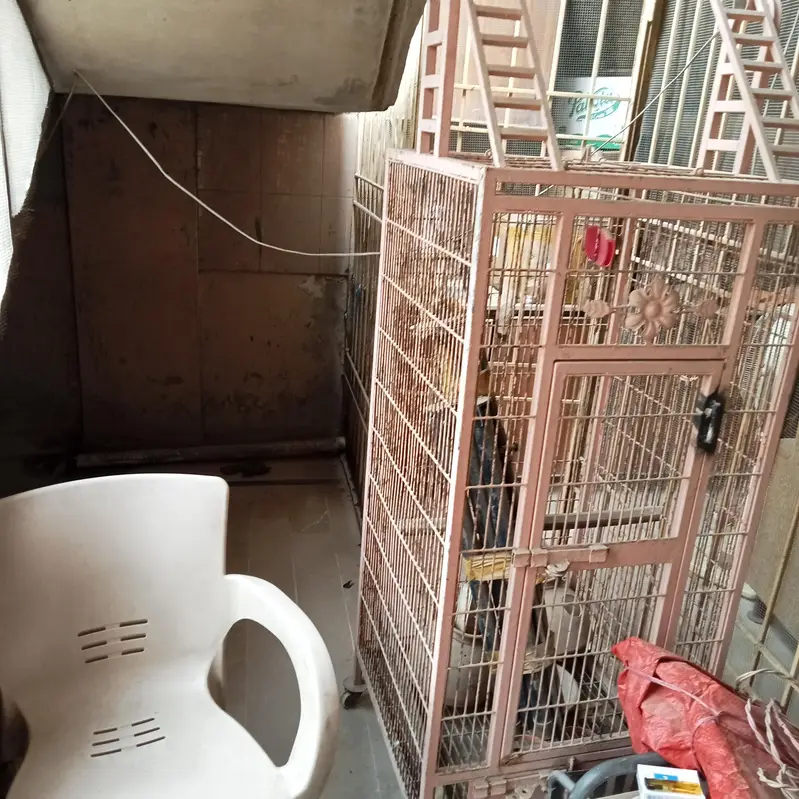 cage for grey , macaws , cockatoo — photo 3