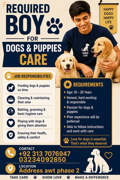 requaird boy for dogs & puppies care |Must have valid cnic | job offe