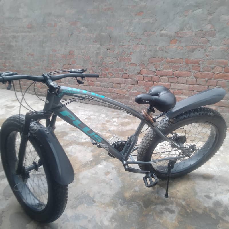 plus cycle 1