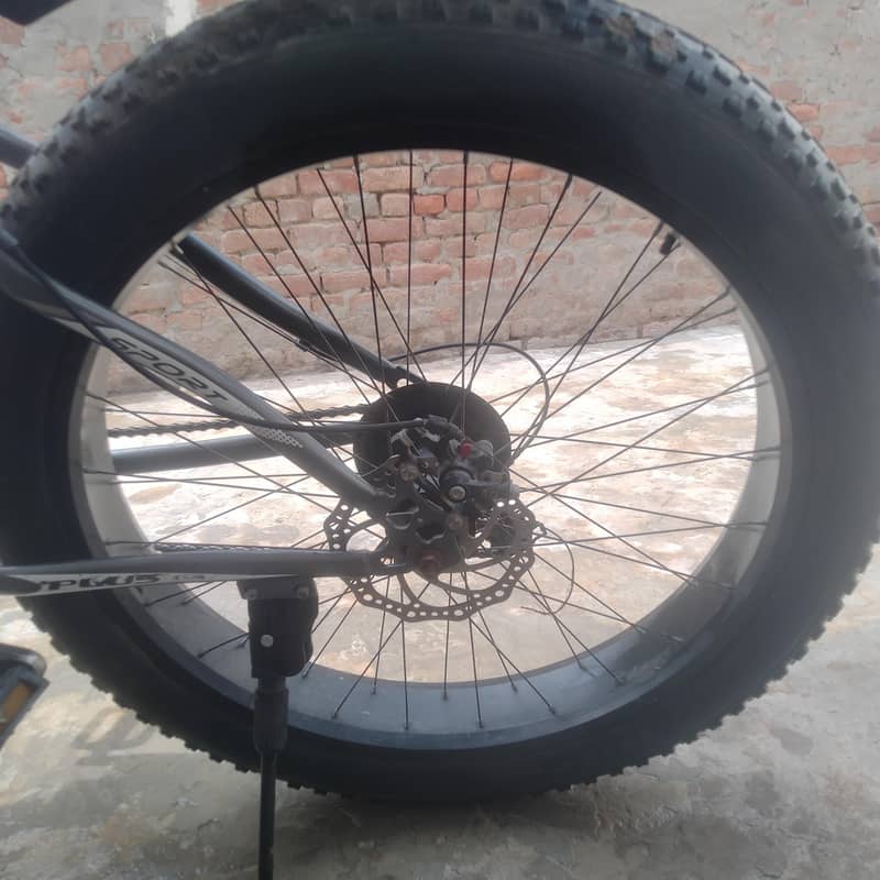 plus cycle 2