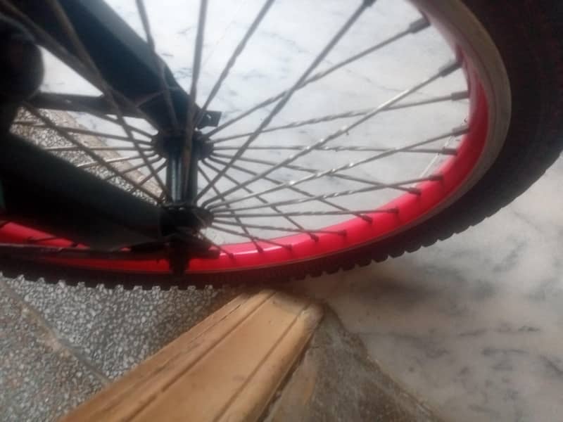 cycle 2