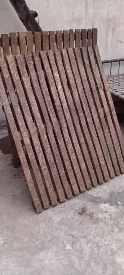 wooden Pillot (phatty]