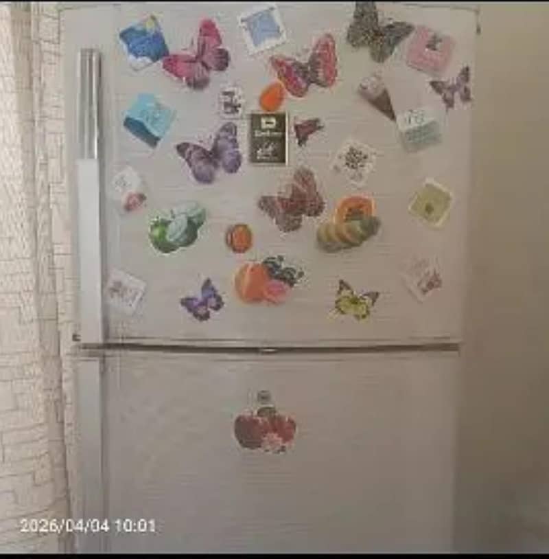 fridge 1